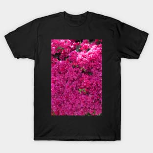 Bougainvillea T-Shirt